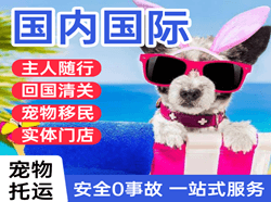 长水机场托运国际宠物托运 【国